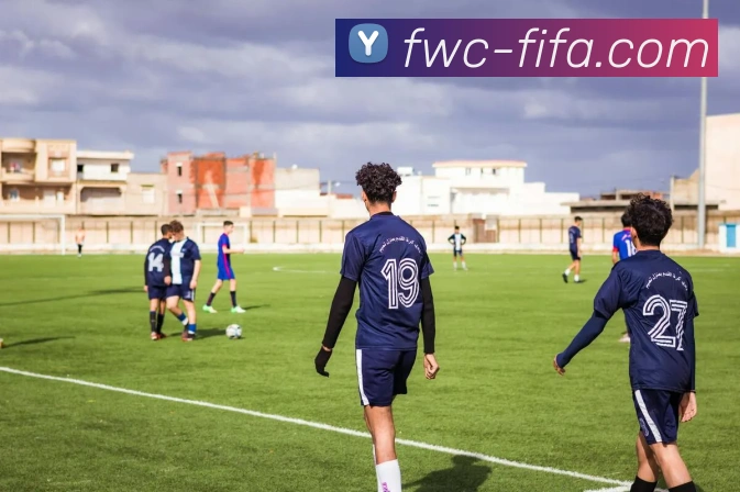 世界杯买球网站平台生态图